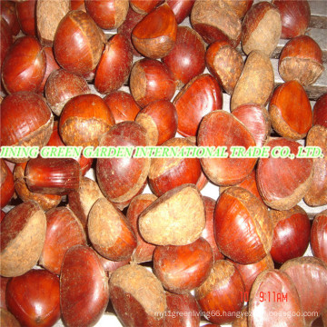 Fresh New Crop Tasty Chestnut